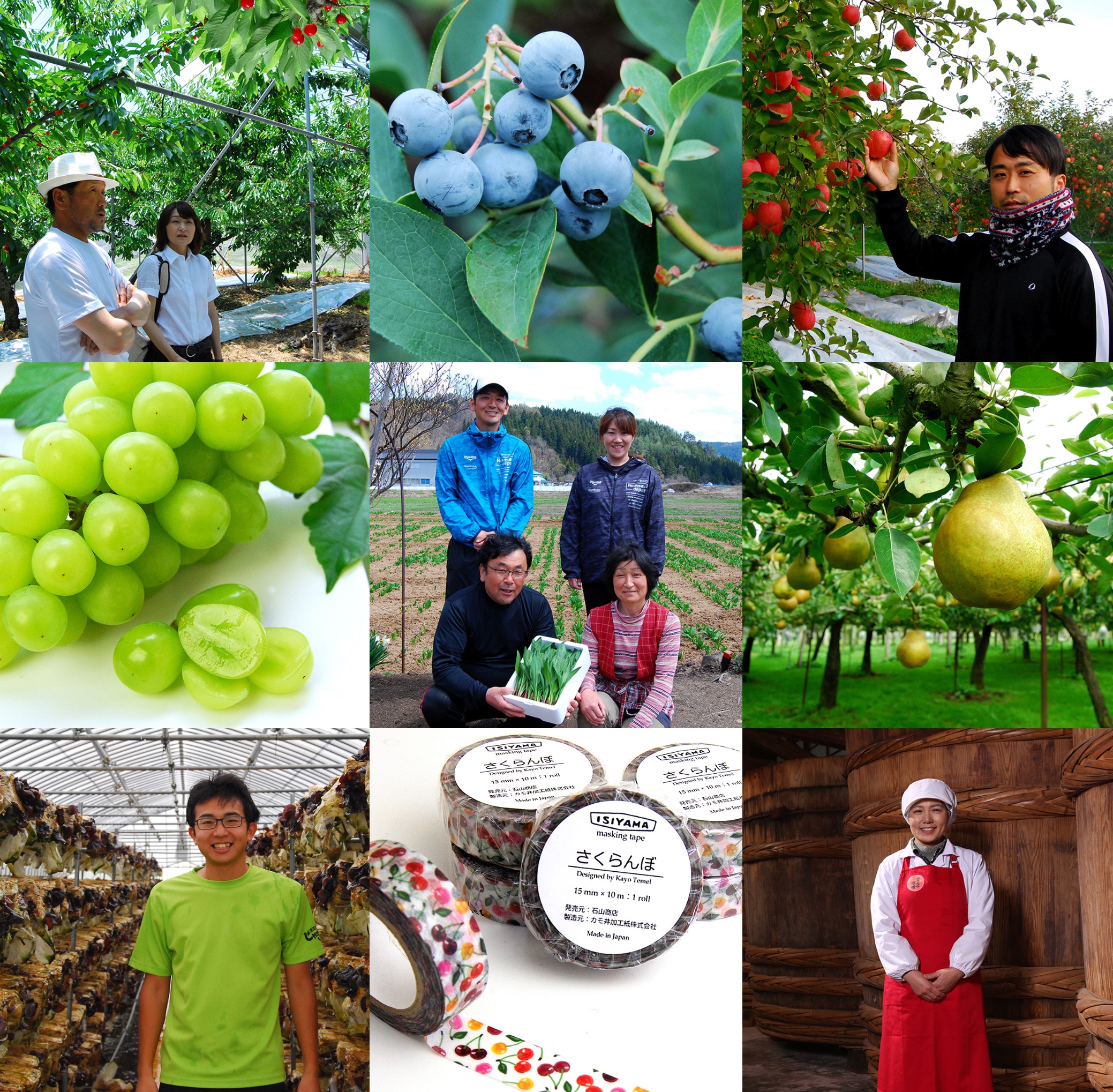 株式会社スプリングス様